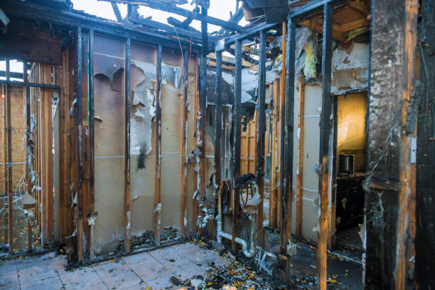 Professional Fire Damage Removal technician working in Montgomery, TX